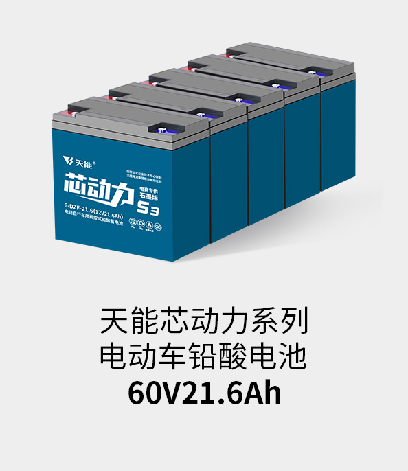 意大利贵宾会电池60v20ah