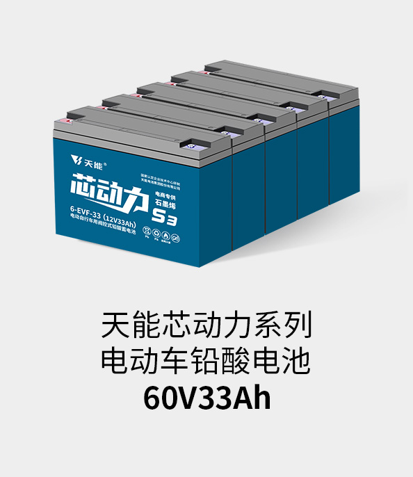 意大利贵宾会电池60v33ah