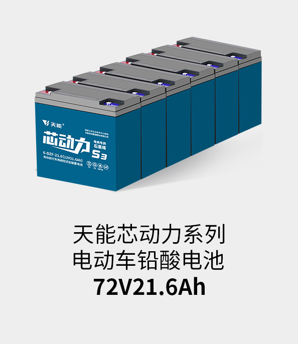 意大利贵宾会电池72v20ah