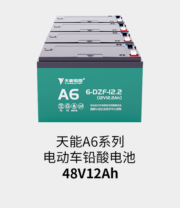 意大利贵宾会电池48v12ah