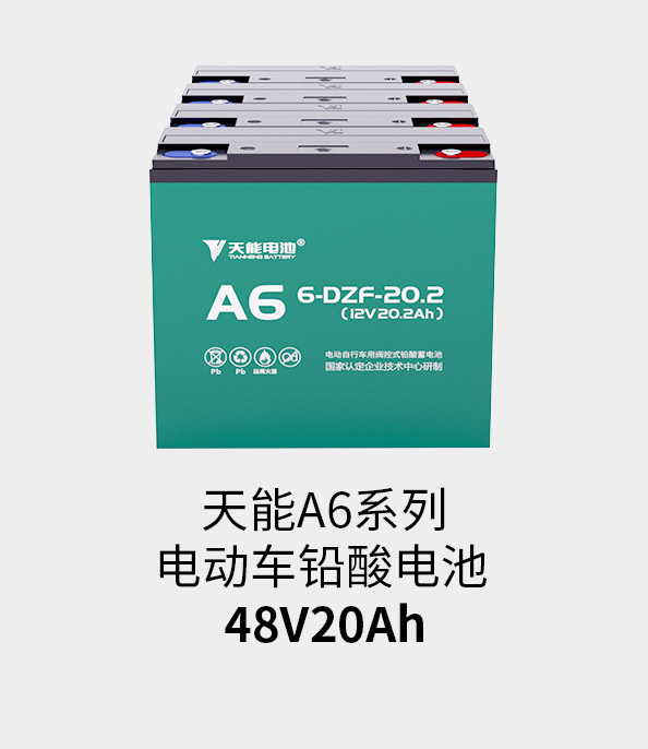 意大利贵宾会电池48v20ah