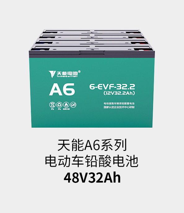 意大利贵宾会电池48v32ah