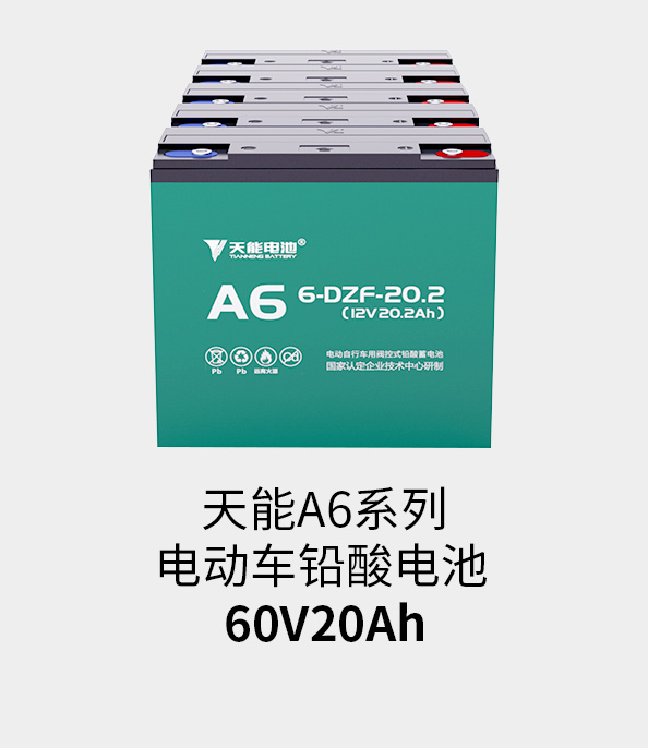 意大利贵宾会电池60v20ah