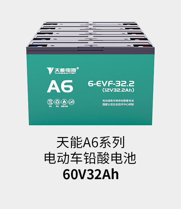 意大利贵宾会电池60v33ah