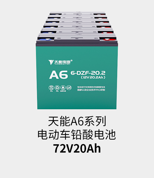 意大利贵宾会电池72v20ah