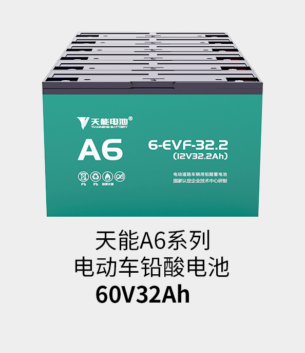 意大利贵宾会电池72v33ah