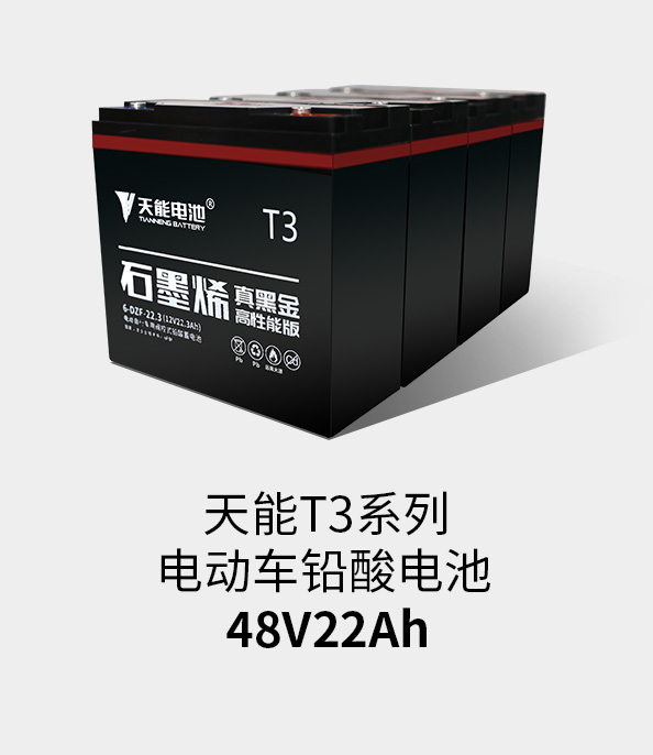 意大利贵宾会T3系列48v22ah