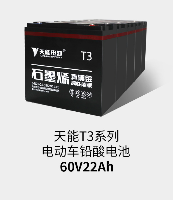 意大利贵宾会T3系列60v22ah