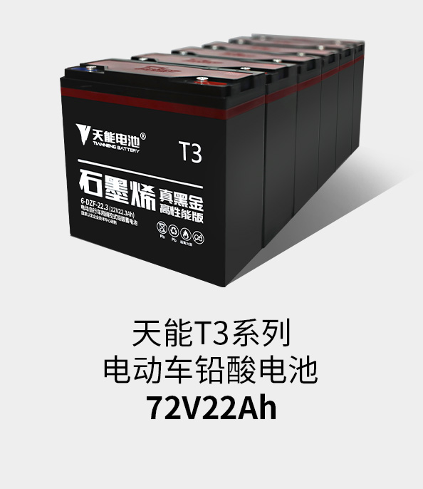 意大利贵宾会T3系列72v22ah