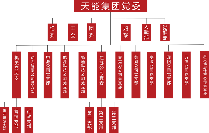 意大利贵宾会建团党委组织架构